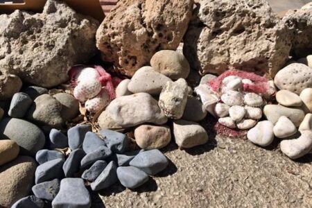 Piedras para jardín