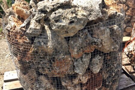 Servicios a la jardinería