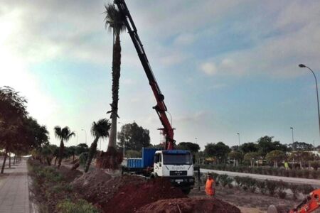 Servicios a la jardinería